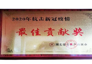 2020年湖北省文化產(chǎn)業(yè)商會(huì) 2020抗擊新冠疫情最具貢獻(xiàn)獎(jiǎng)
